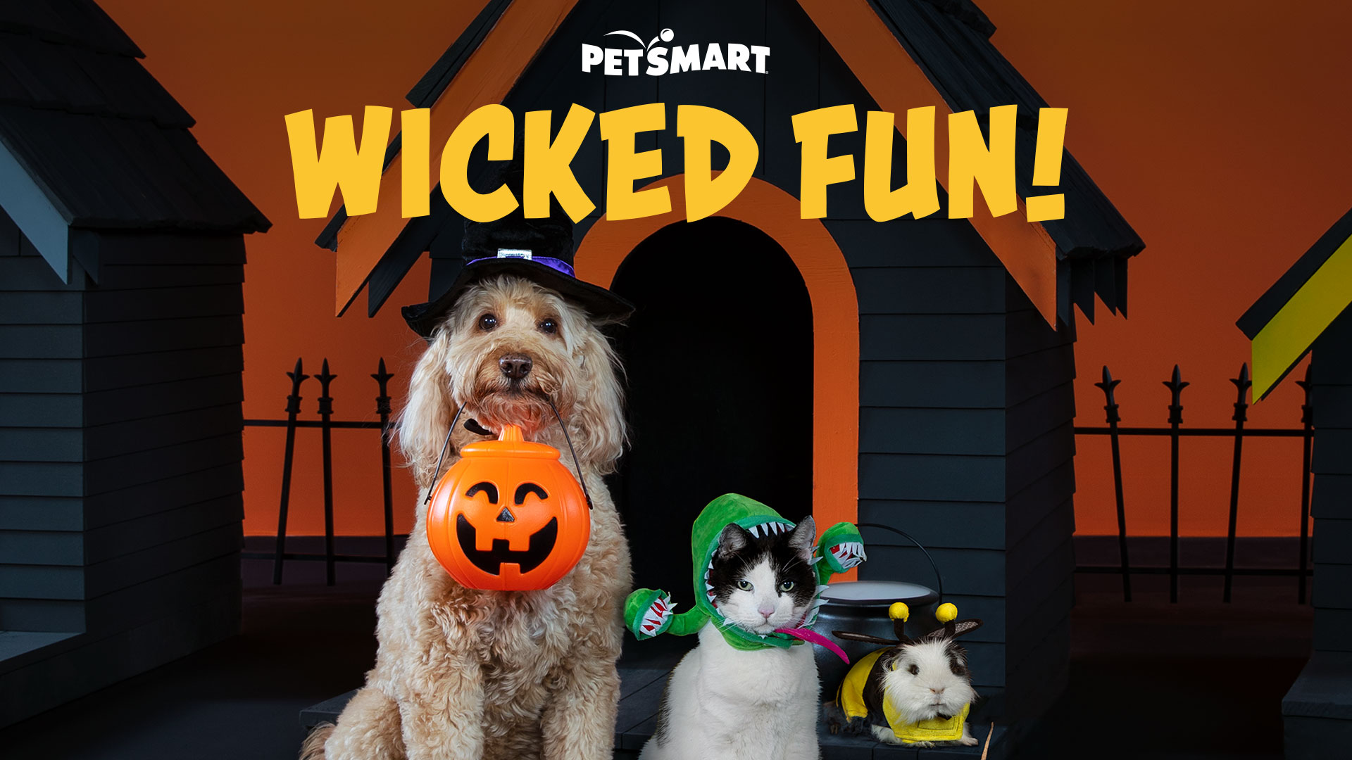 petsmart halloween 2021